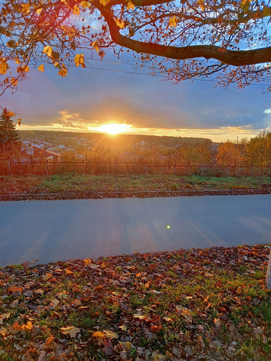 Photo #9701391