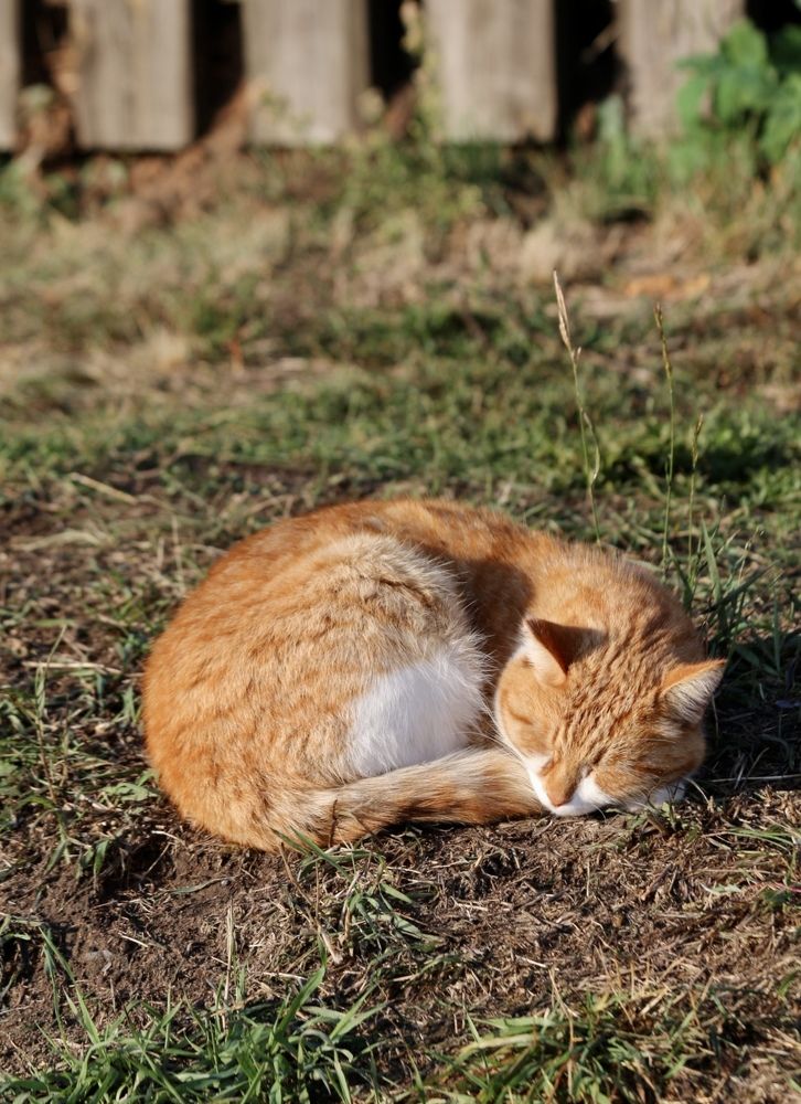 Photograph by Oleg Travin