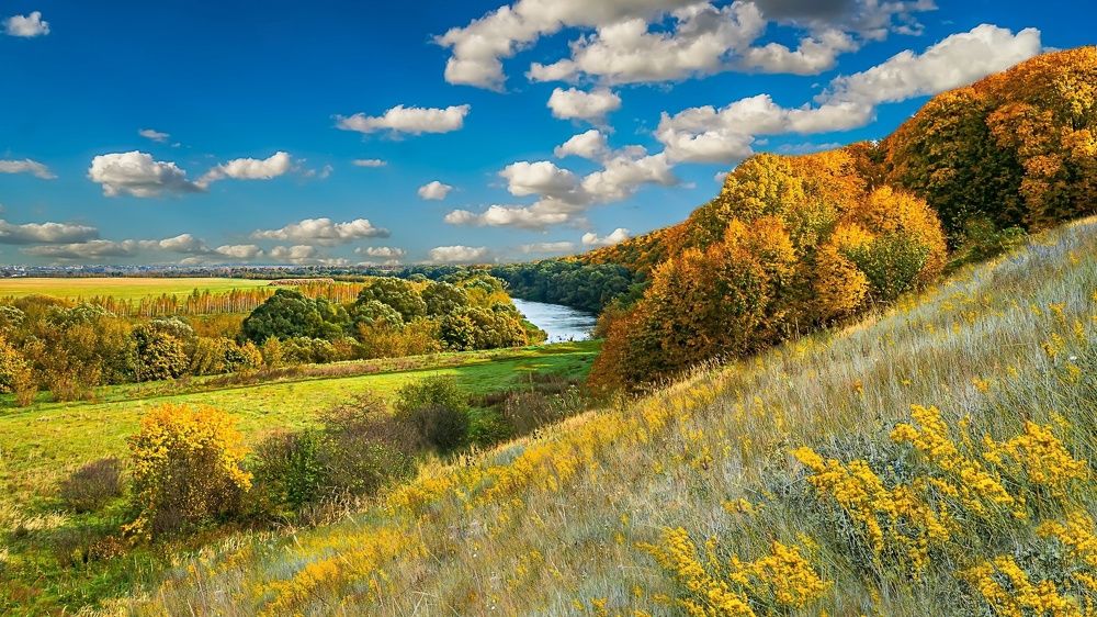 Фотография автора Николай Бологов