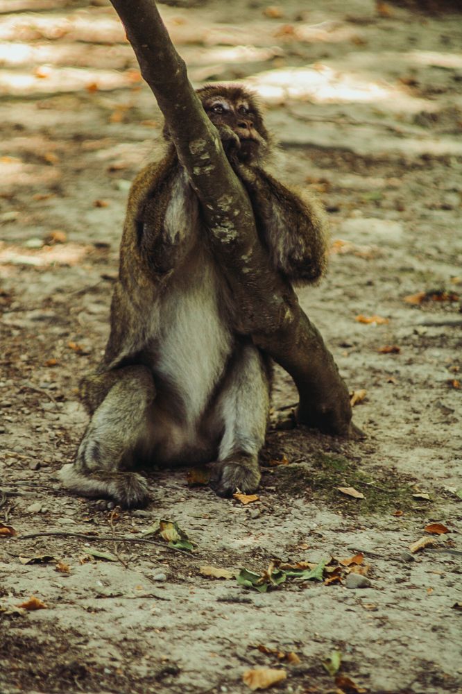 Photograph by Milana Rukaber