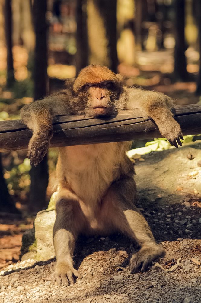 Photograph by Milana Rukaber