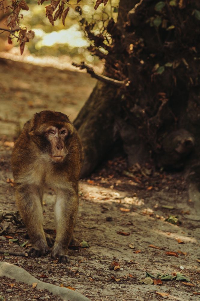 Photograph by Milana Rukaber