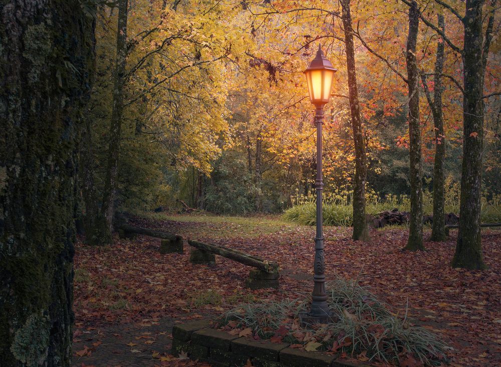 Photograph by Valdir Hobus