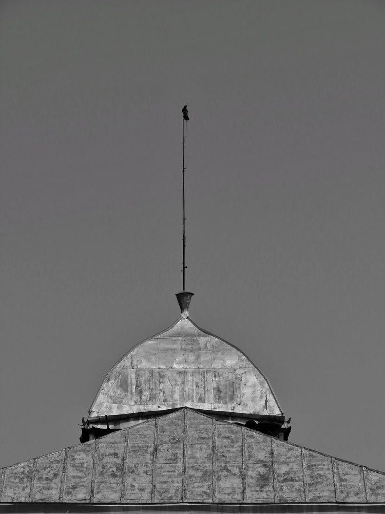 Фотография автора Mahdi Mohammadi