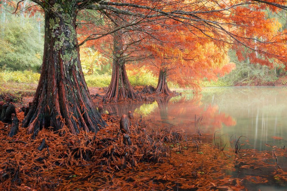 Photograph by Valdir Hobus