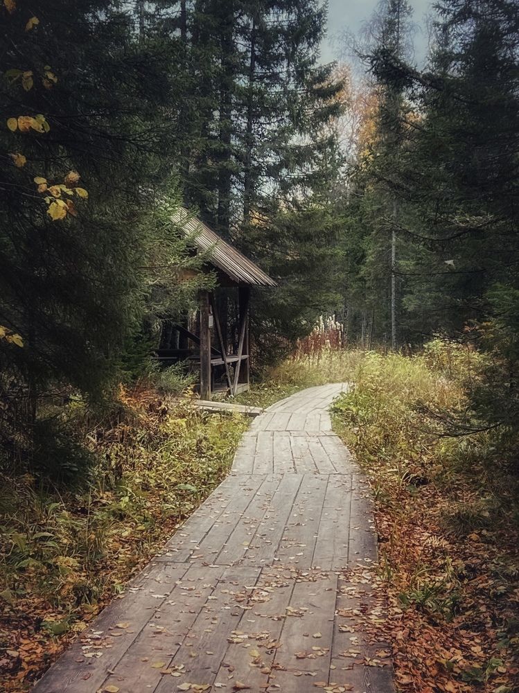 Фотография автора Дарья Кузнецова