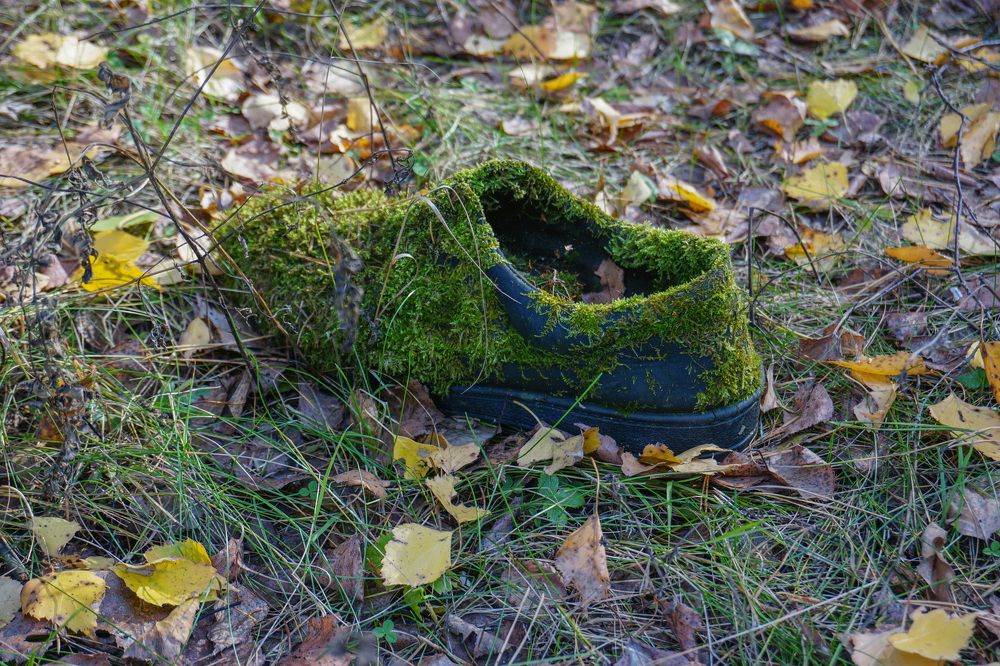 Photograph by Елена Никонова