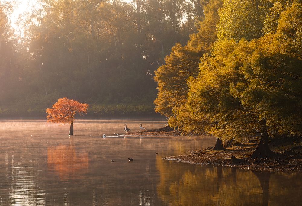 Photograph by Valdir Hobus