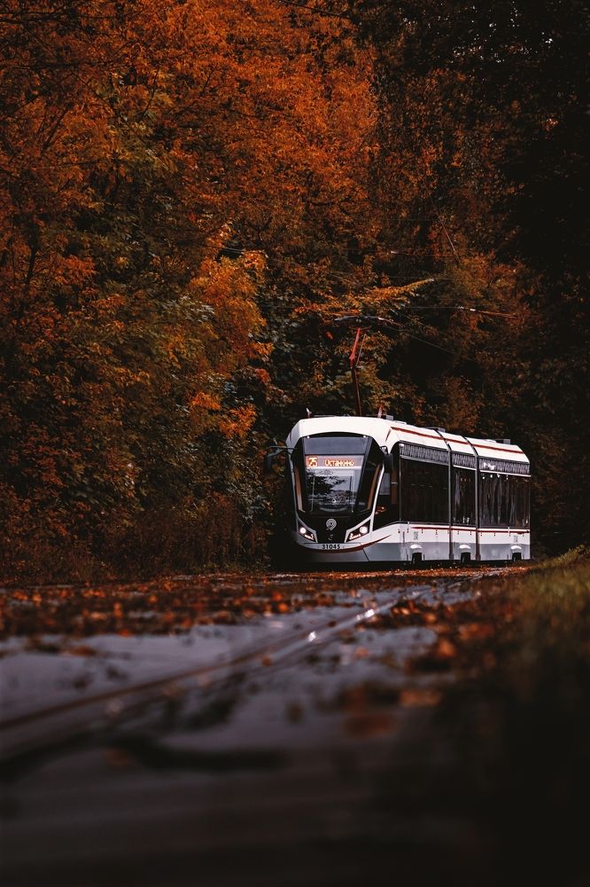 Photograph by Астахова Анастасия