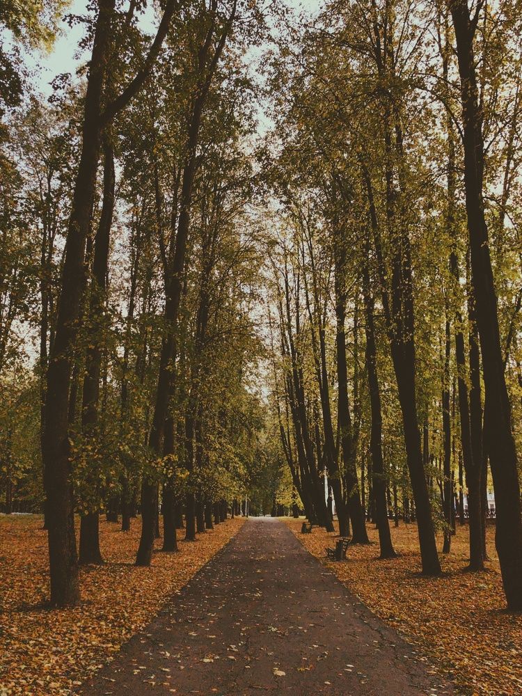 Photograph by Наталья