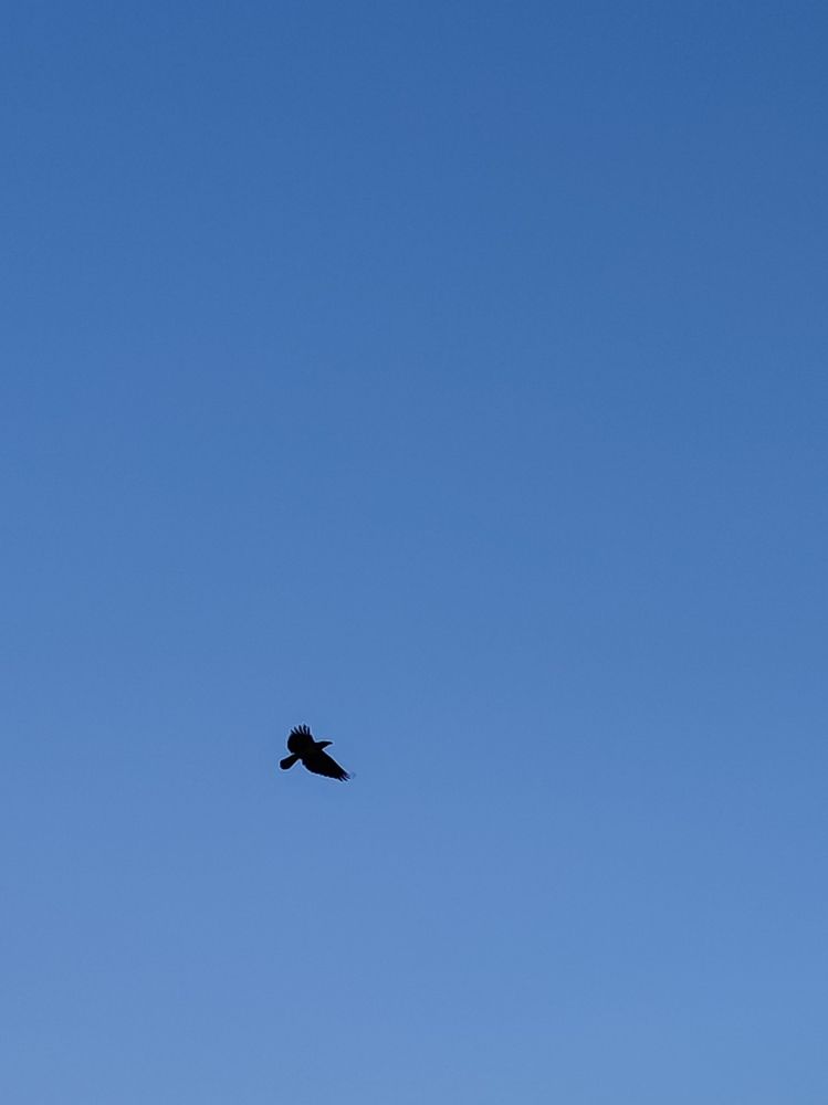 Фотография автора Таня Долгушева