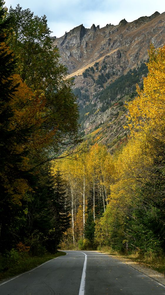 Photograph by Виталий Павлов