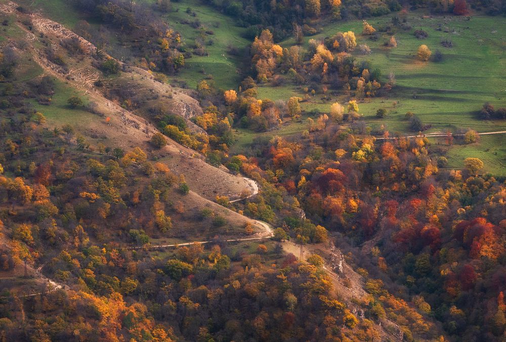 Photograph by Кахарова Наргиза