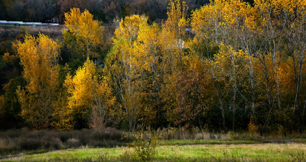 Photograph by Виталий Павлов