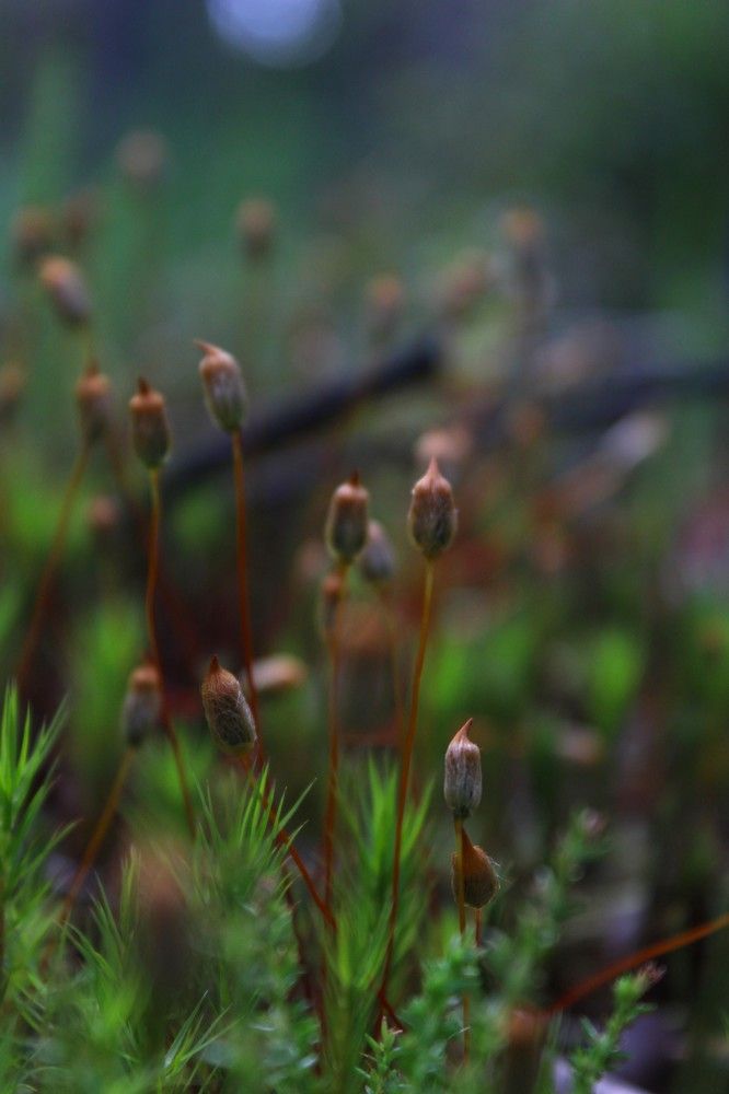 Photograph by Полина Зайцева