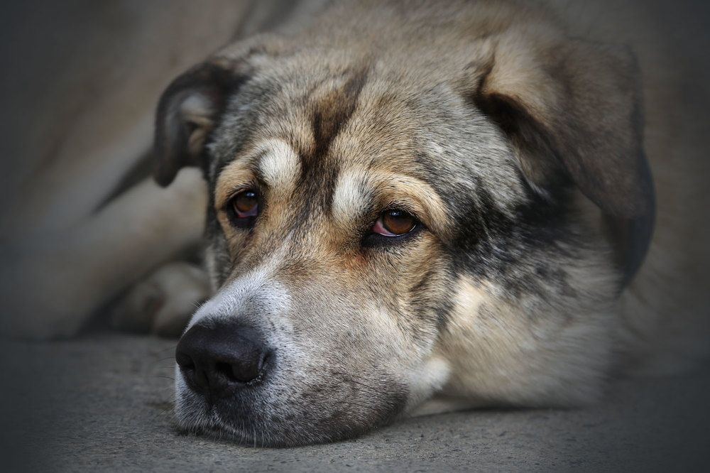 Photograph by Виктор Смирнов