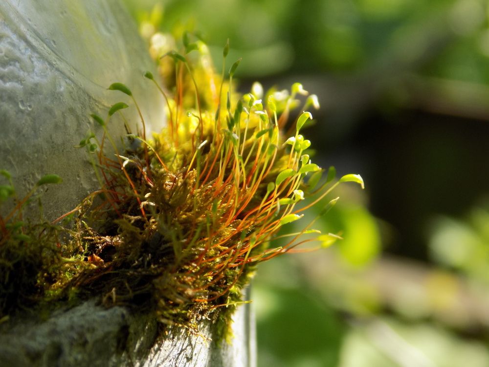 Photograph by Полина Зайцева