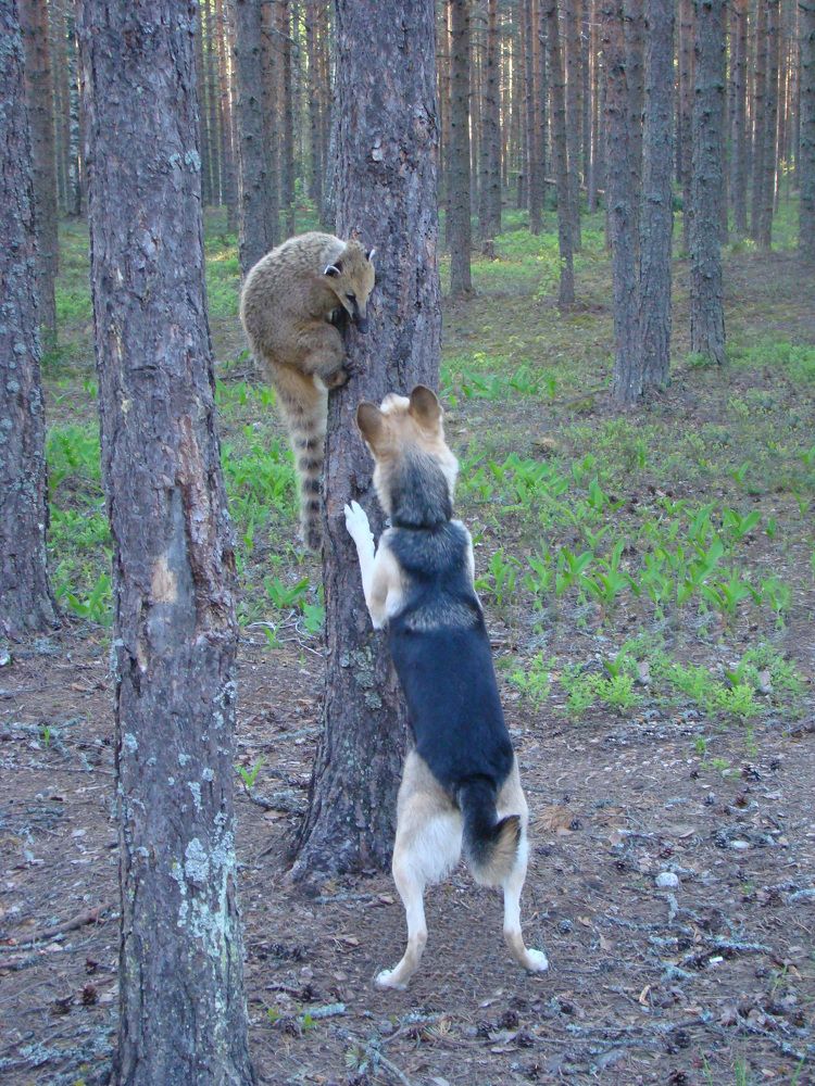 Photograph by Boris Butianov