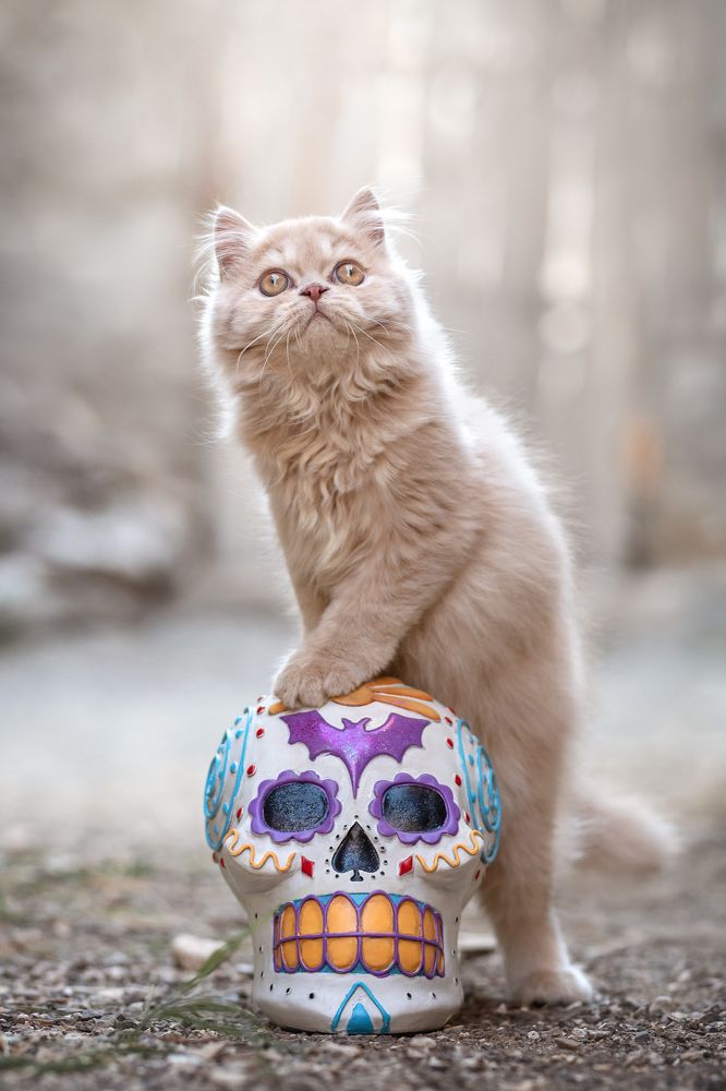 Photograph by Natalia Hidalgo