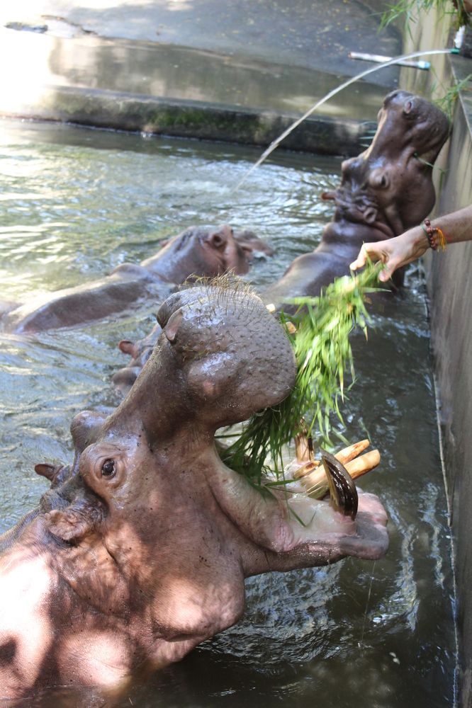 Photograph by Виталий