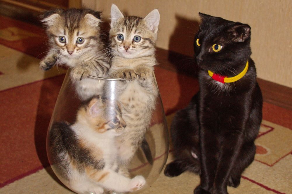 Photograph by Марина