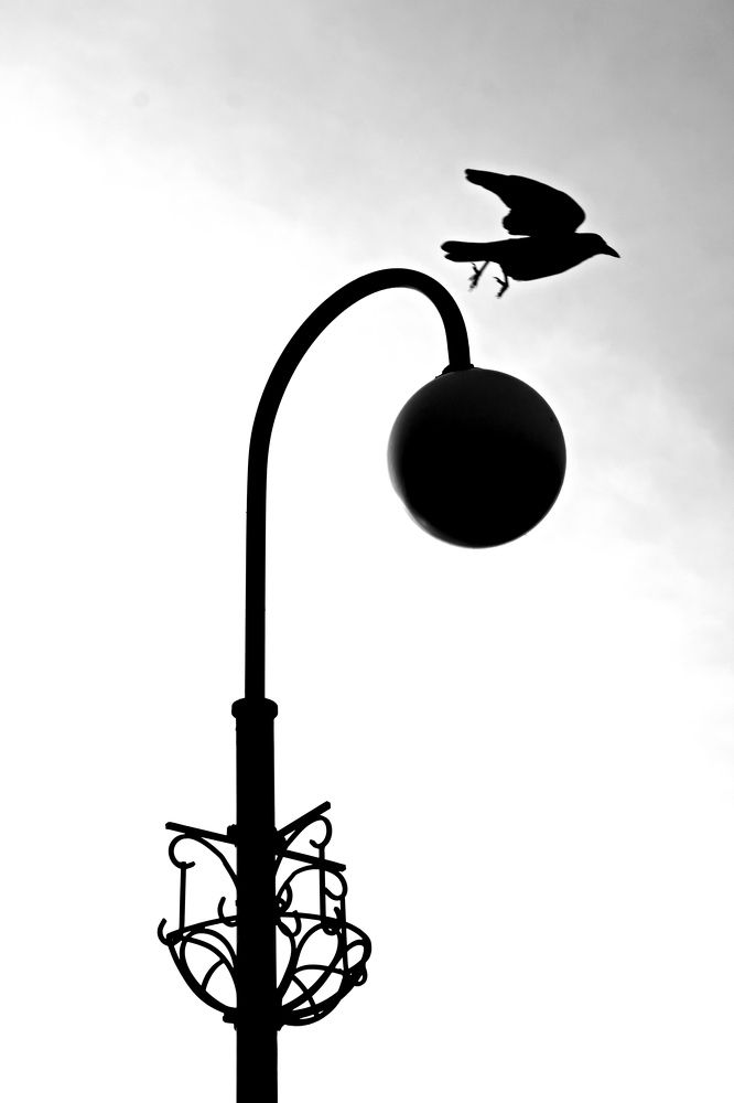 Photograph by Марина