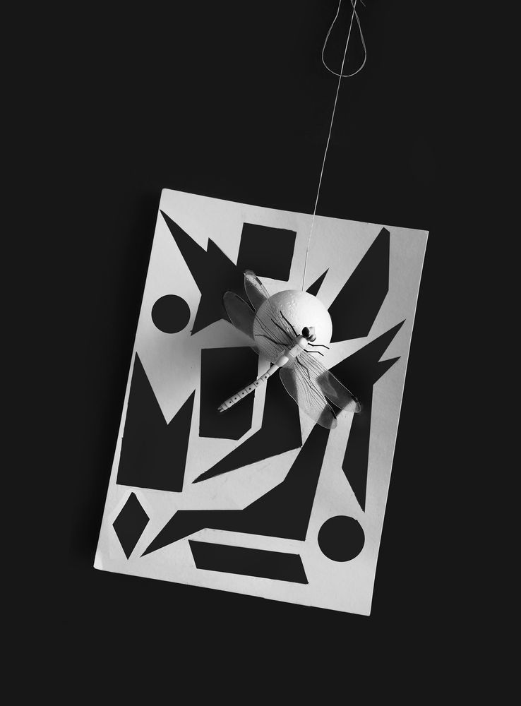 Фотография автора Vera Eremeeva