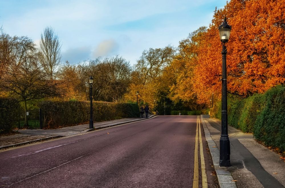 Photograph by Ganna Lobodenko