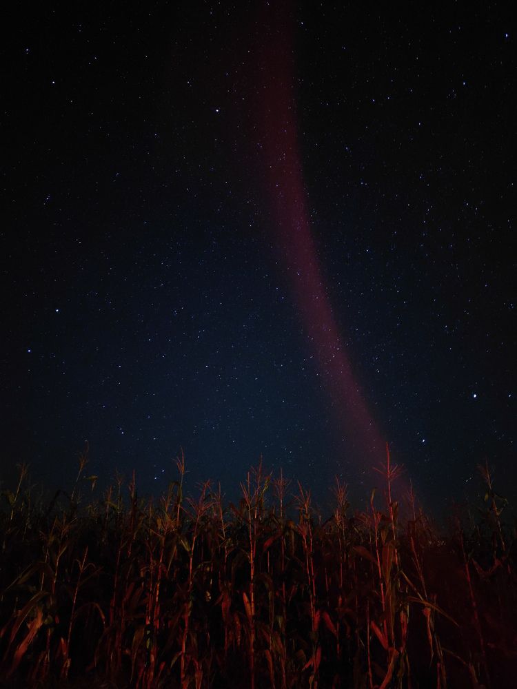 Фотография автора Анна карманович