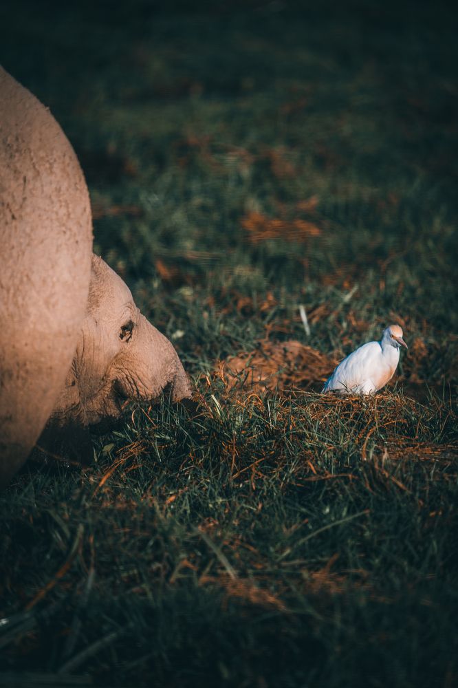 Photograph by Alex Christian