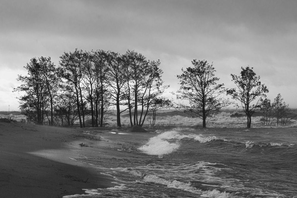 Photograph by Дмитрий Ефимов