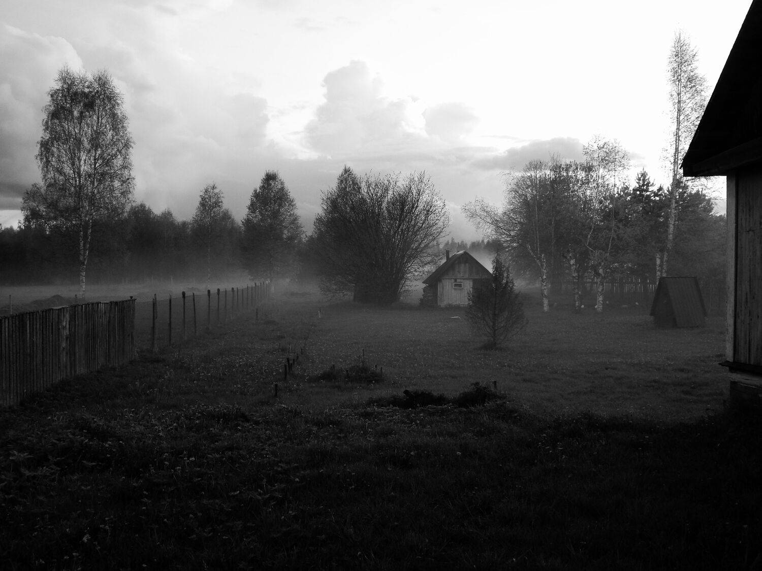 Photo #9701708