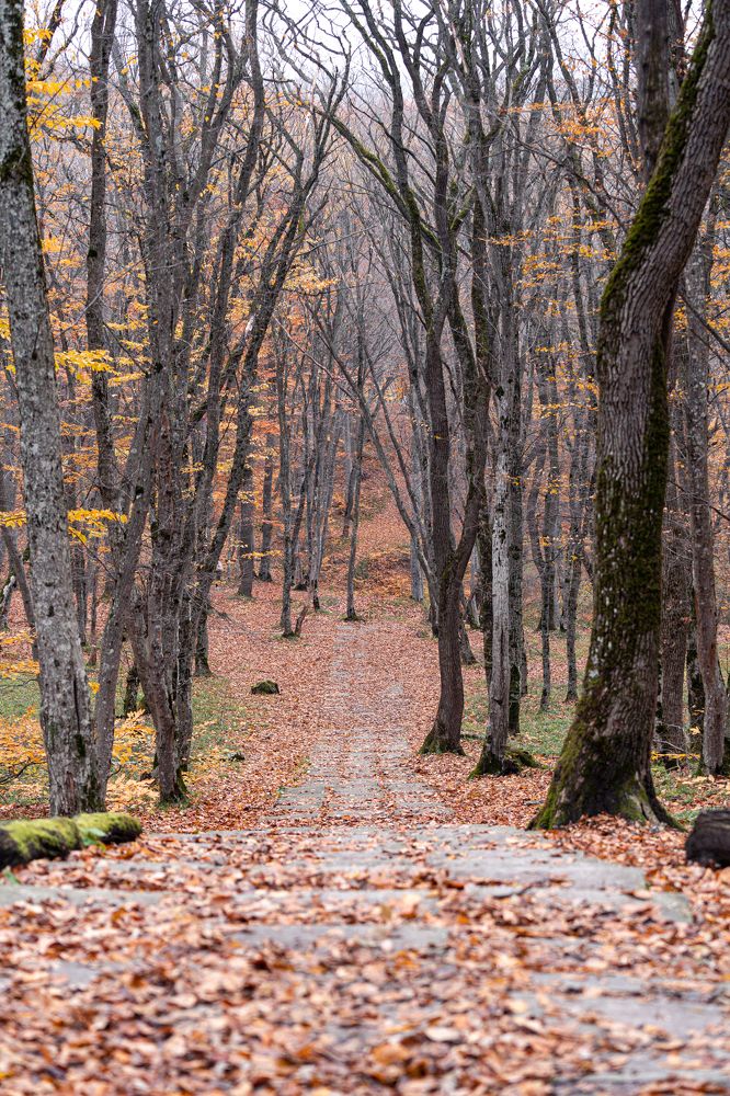 Photograph by Иван Новиков