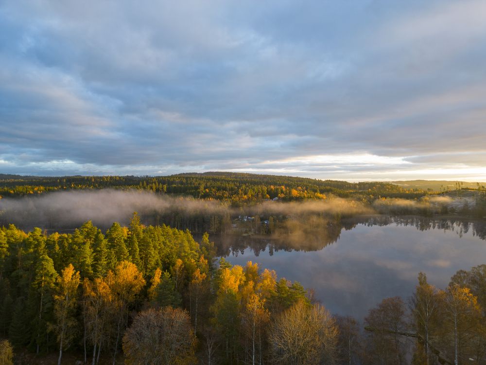 Photograph by Linda Persson