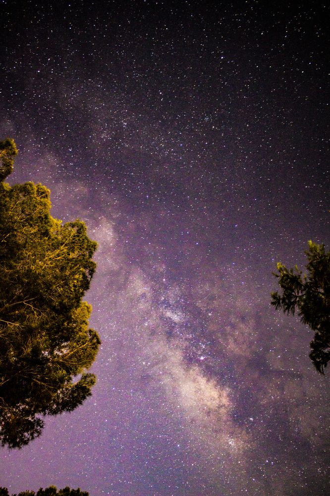 Photograph by Mohammed manaf Suliman