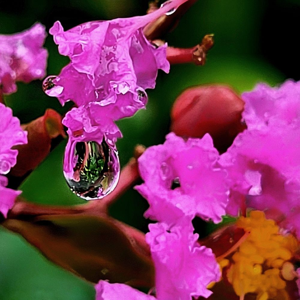 Photograph by Catherine