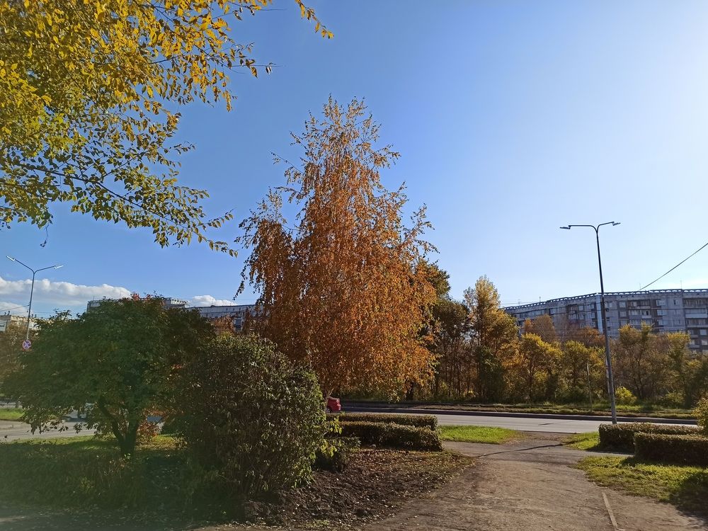 Фотография автора Александр Осинцев