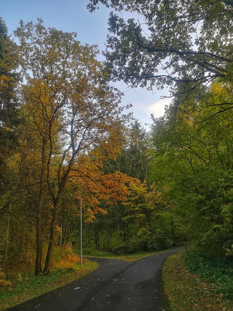 Photograph by Екатерина Борисовна Кузьмина