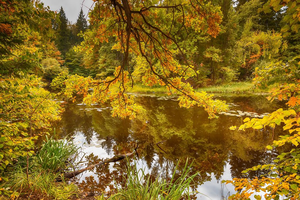 Photograph by Михаил Волков