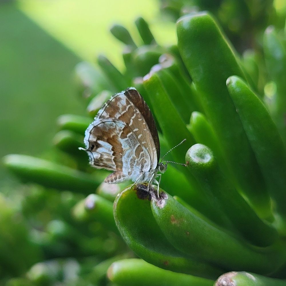 Photograph by Catherine