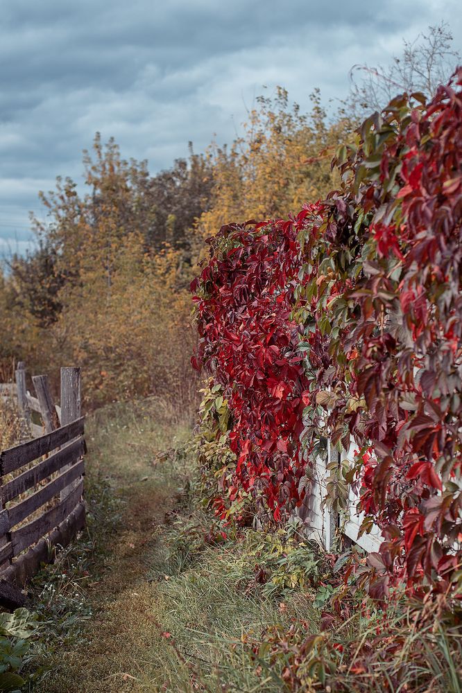 Photograph by Татьяна Белевцова