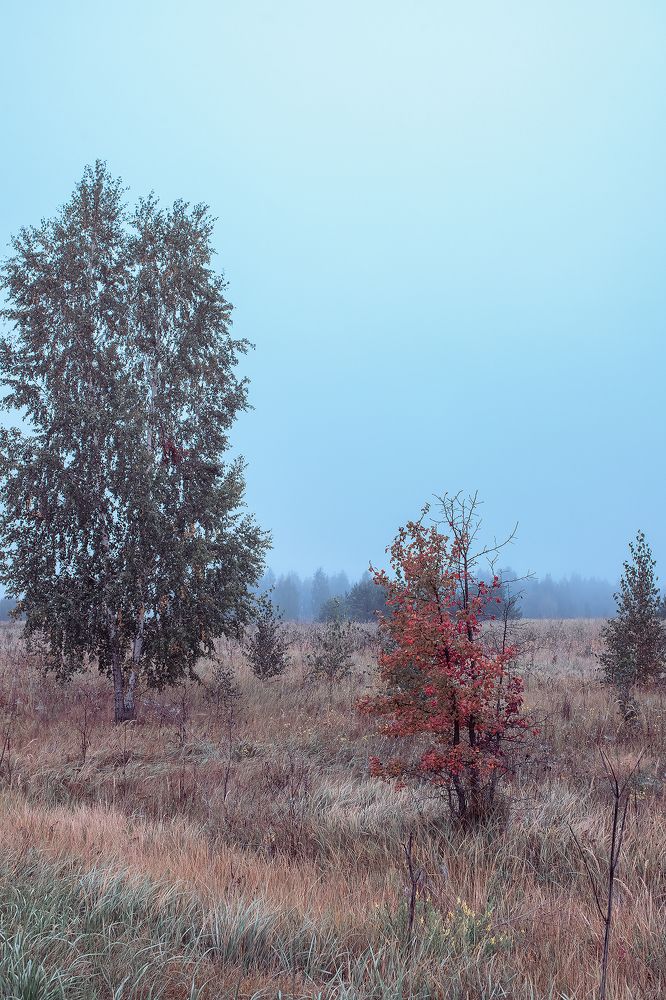 Photograph by Татьяна Белевцова