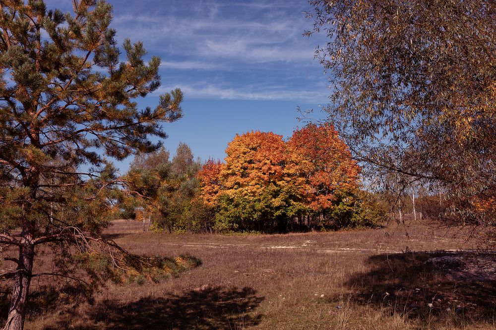 Photograph by Татьяна Белевцова
