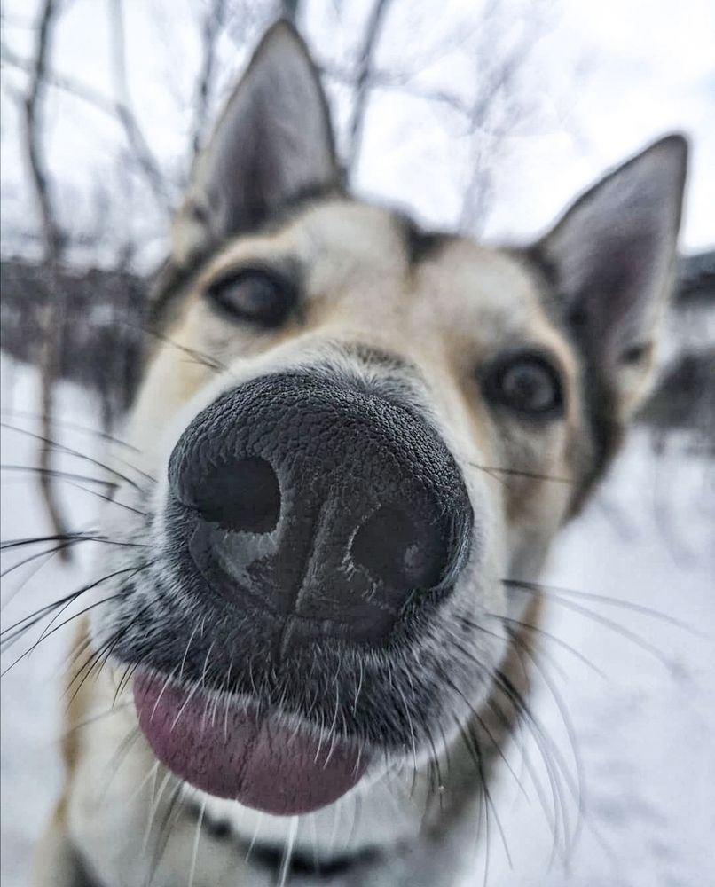 Фотография автора Ольга Сорокина
