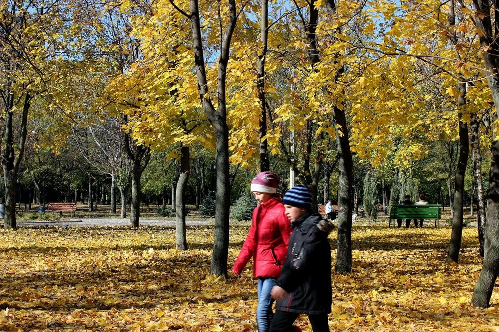 Photograph by Татьяна Пальчикова