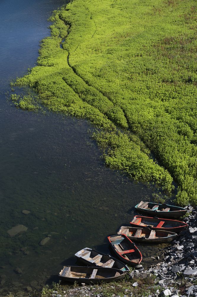 Photograph by Yainyt Alcazar Delgado