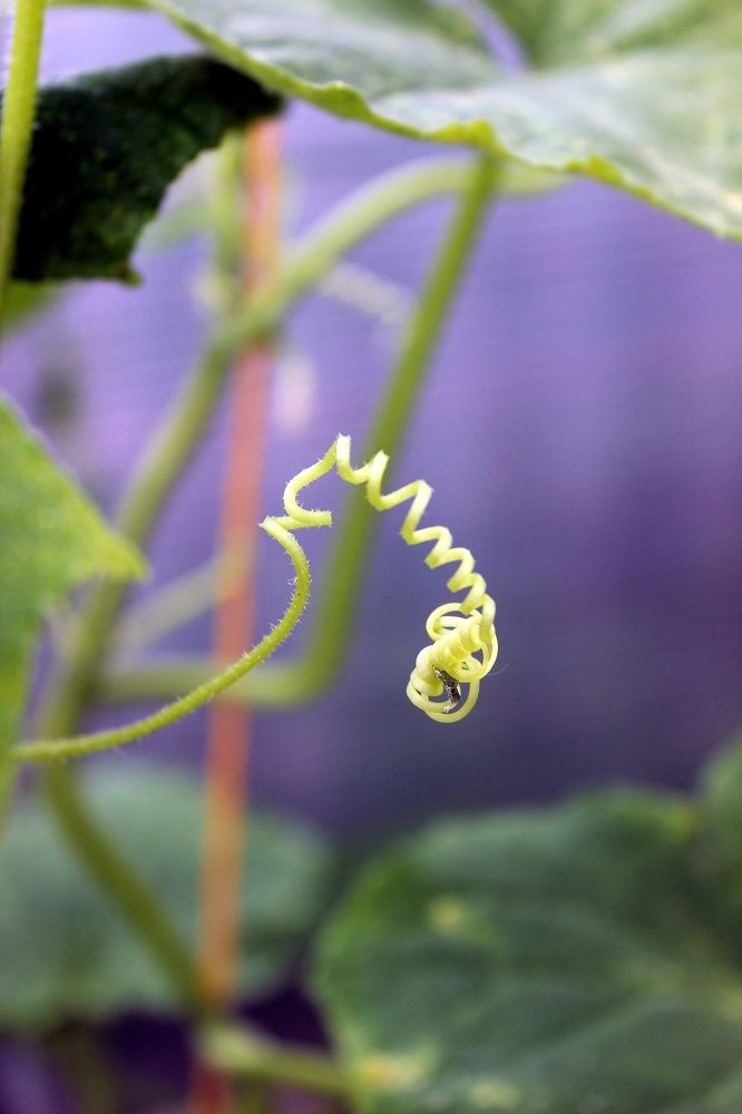 Photograph by Татьяна Пальчикова