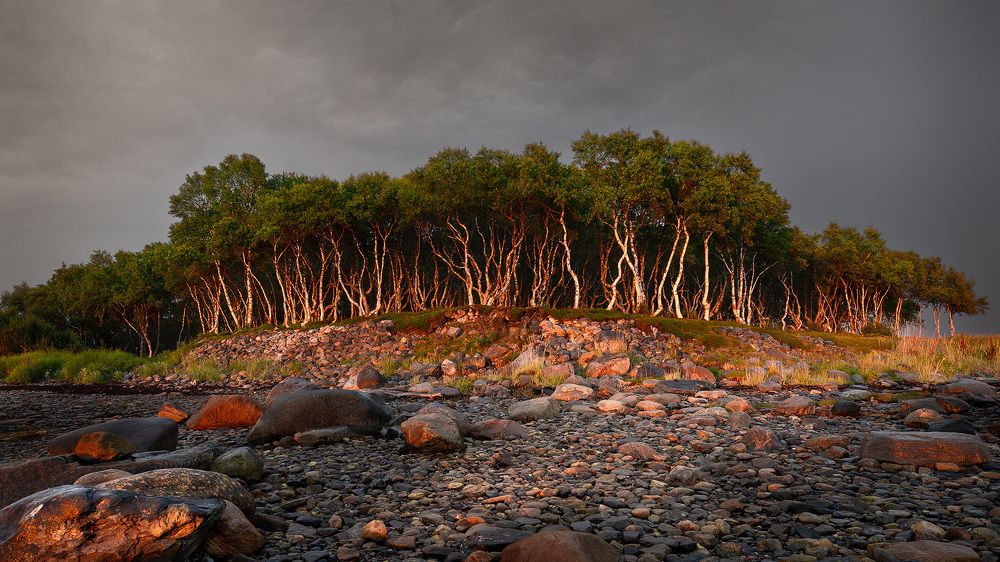 Photograph by Руднев Юрий