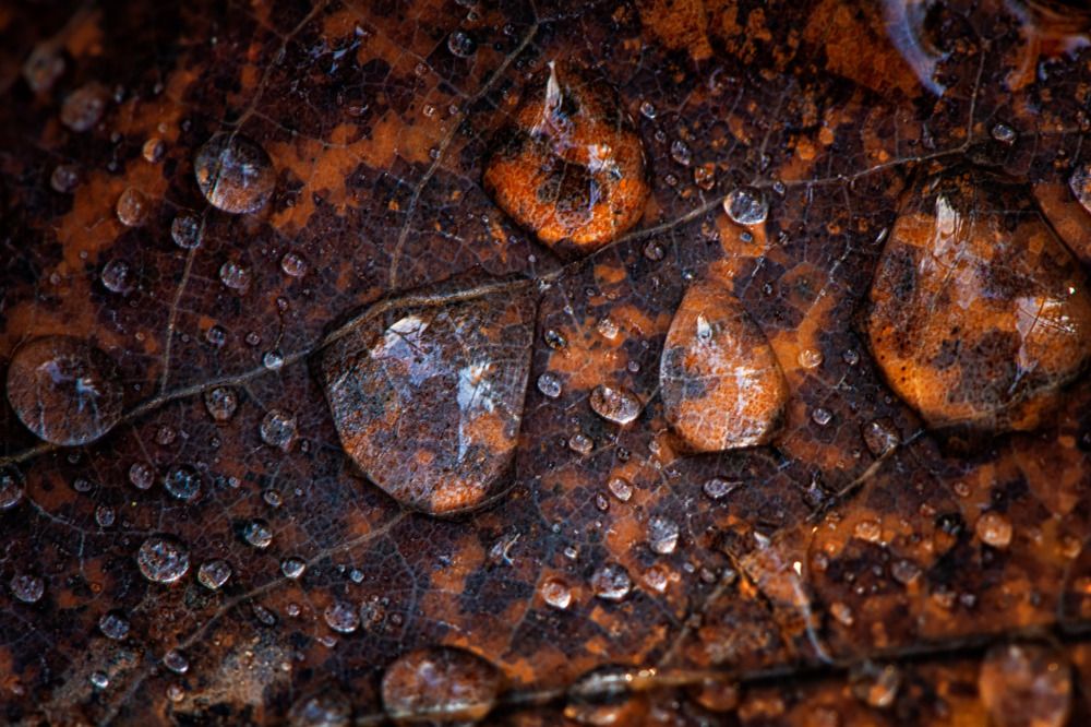 Photograph by Третьякова Анастасия