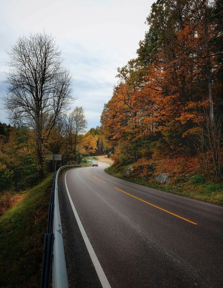 Фотография автора Alina Filimonova